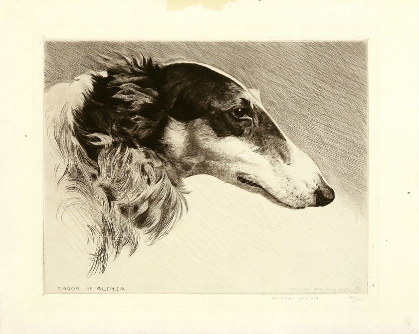   & VeryRare Vint. 1930 Ltd Ed Etching ZAGOR OF ALTHEA Borzoi  