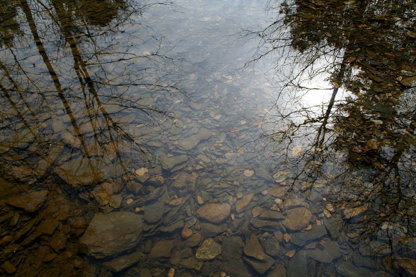 Secluded / close to everything, Hot Springs Village, AR  