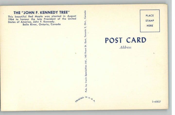 Postcard John F Kennedy TreeBelle River,ON,Canada  