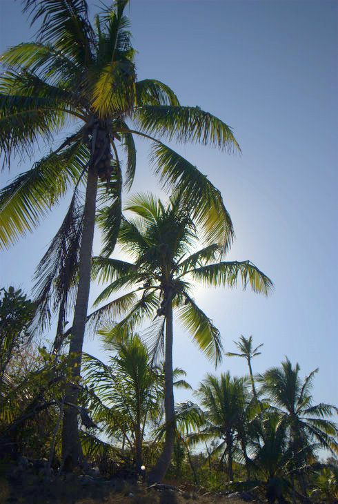 Beachfront homesite on Little Exuma, Bahamas  