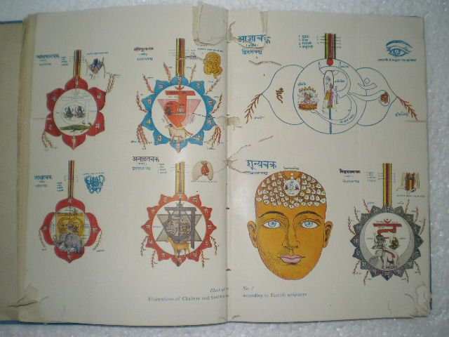 SCIENCE OF SOUL ATMA VIJNANA 1972 RARE BOOK india  