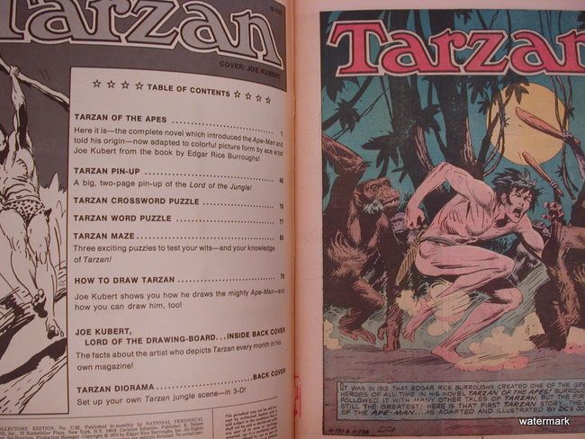 Tarzan of the Apes Return of Tarzan oversize comics  