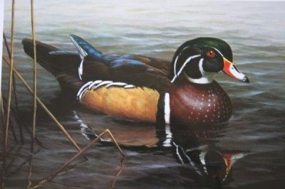 DUCKS UNLIMITED 2001 Dennis Minor 18th Annual Stamp Print  