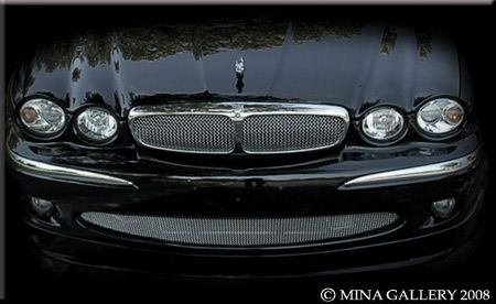 Mina Gallery is proud to offer this amazing Jaguar X Type Upper Insert 