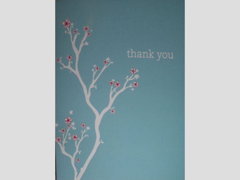 Aqua Cherry Blossoms Thank You Note Cards w/ Envelopes  