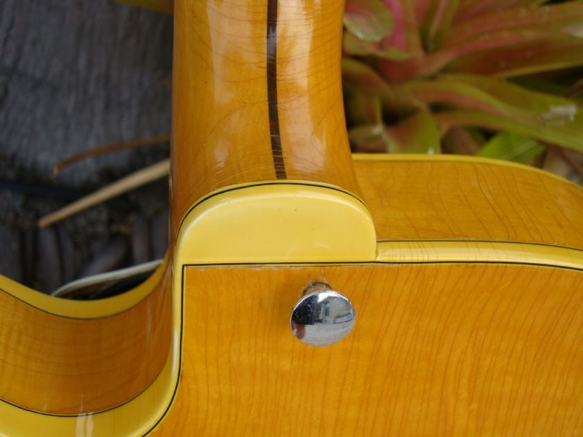 1959 Gibson Byrdland  