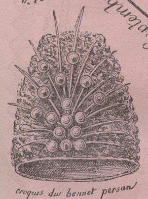 POUPEE MODELE YEAR 1873 (20 PATTERN SHEETS)  