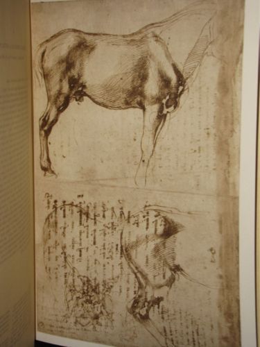 DRAWINGS OF MICHELANGELO, 103 FACSIMILES, 17 x 12  