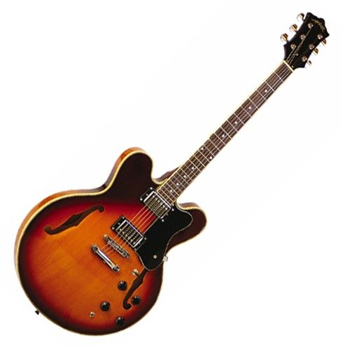 Arbor AJ135 Hollow Body Jazz Electric Guitar   Sunburst  