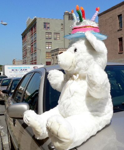 JUMBO 42 WHITE TEDDY BEAR WEARING BIRTHDAY CAKE HAT  