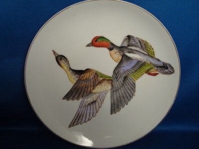 Green Winged Teal Duck Wild Bird Decorative 8 Plate  