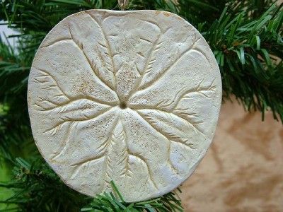 New Sand Dollar Beach Sea Shell Christmas Tree Ornament  