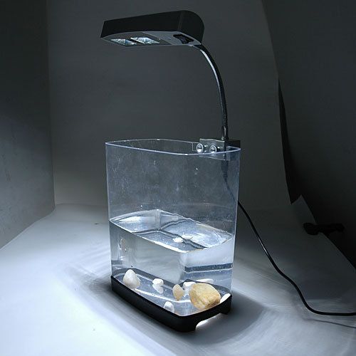 NEW Mini Blue White LED Light for Fish Tank Aquarium  