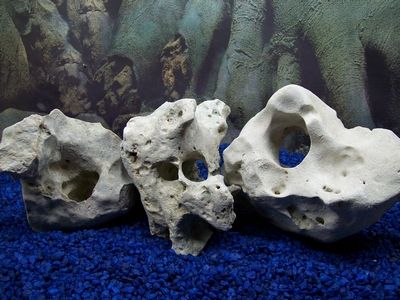 NATURAL TEXAS HOLEY LIMESTONE CICHLID AQUARIUM ROCK #56  