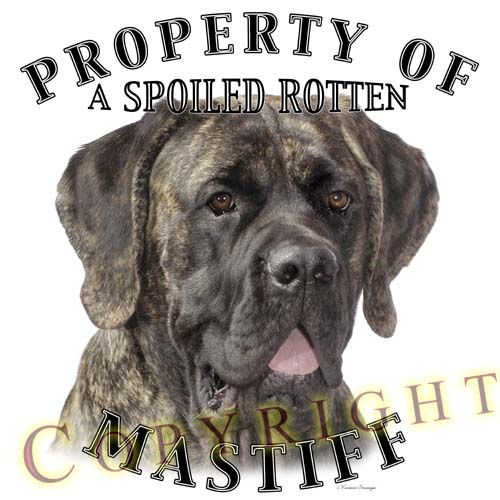 Mastiff BRINDLE Property Of Shirt   S 3XL  