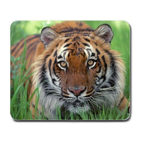 A343 Mouse Pad Mousepad Mat tiger  