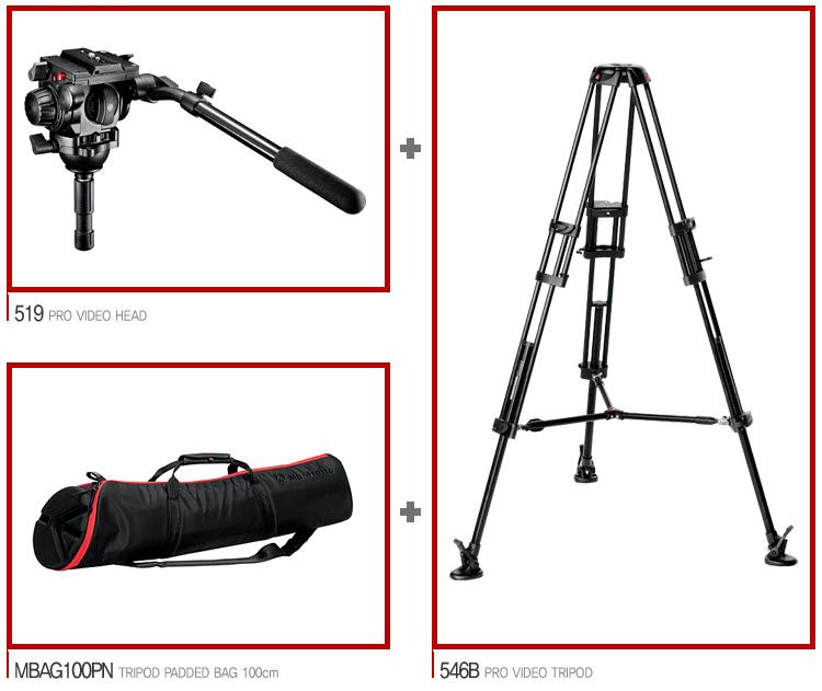 Manfrotto 519, 546B, MBAG100PN Head Tripod Bag Kit  